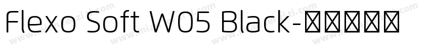 Flexo Soft W05 Black字体转换